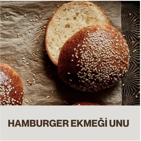 hamburger unu