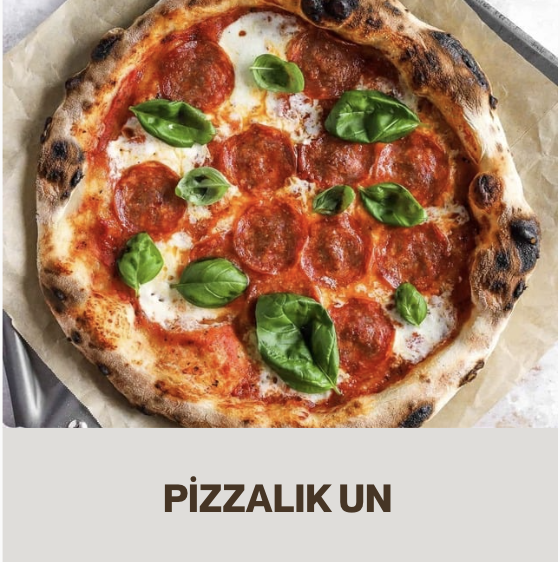 pizza unu