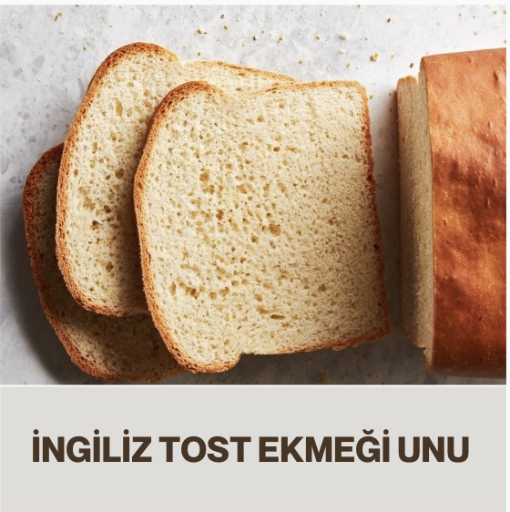 tost unu